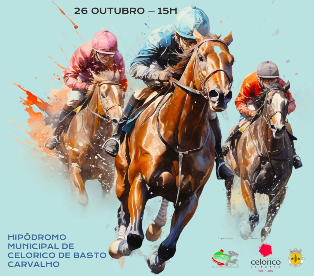 CAVALOS 01